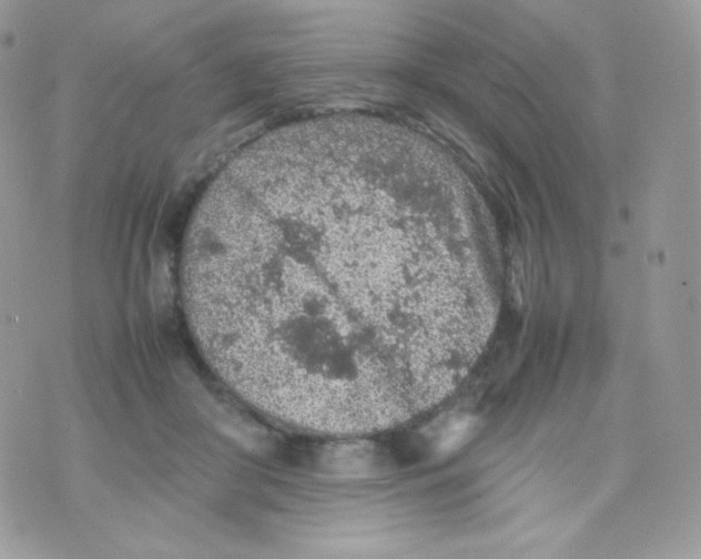 X0000074930410200609291802