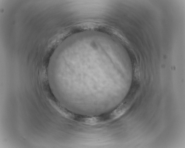 X0000074930411200609291802