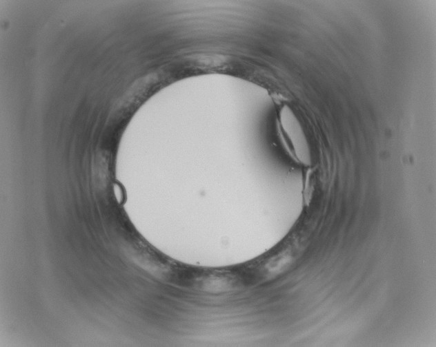 X0000074930412200609291802