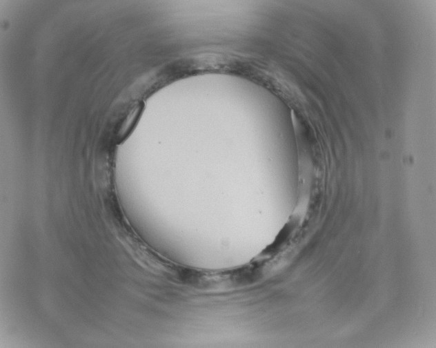 X0000074930413200609291802