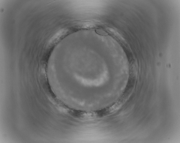 X0000074930415200609291802