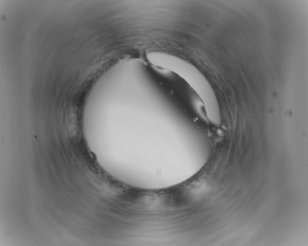 X0000074930416200609291802