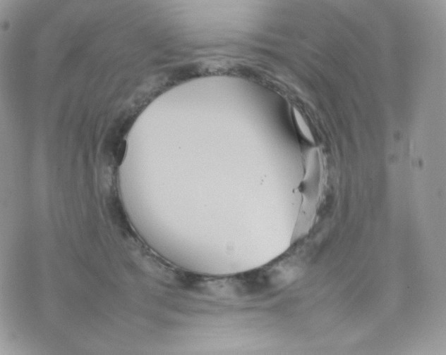 X0000074930417200609291802