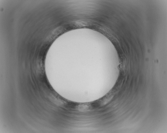 X0000074930418200609291802