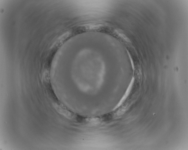 X0000074930419200609291802