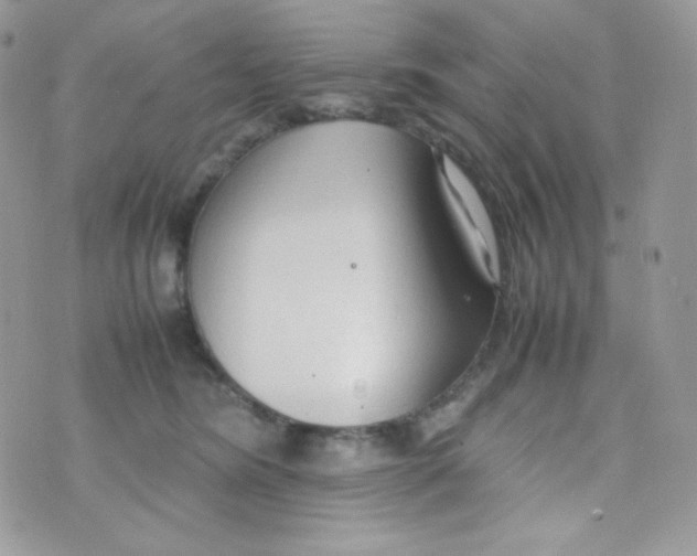 X0000074930420200609291802