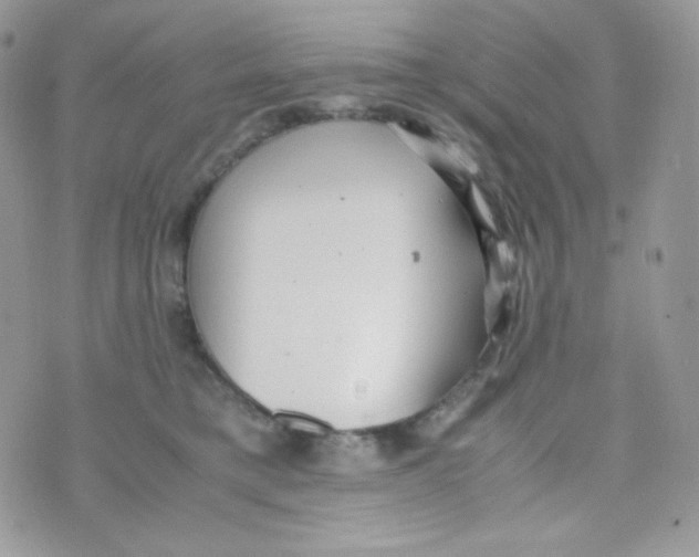 X0000074930421200609291802