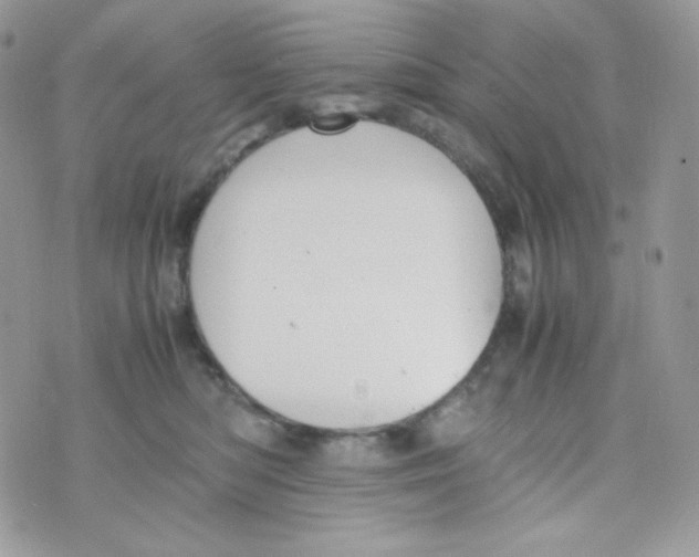 X0000074930422200609291802