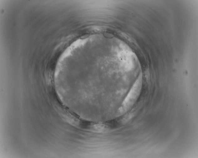 X0000074930423200609291802