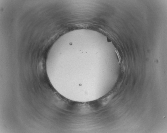 X0000074930424200609291802