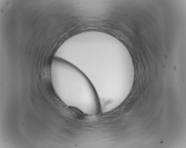 X0000074930425200609291802