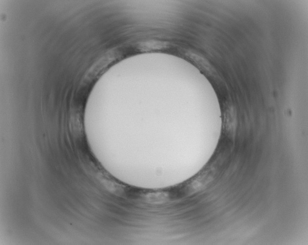 X0000074930426200609291802