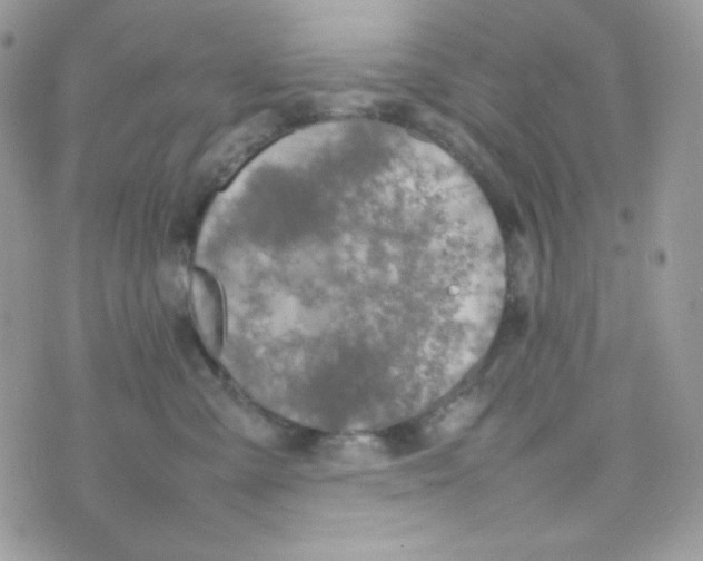 X0000074930427200609291802