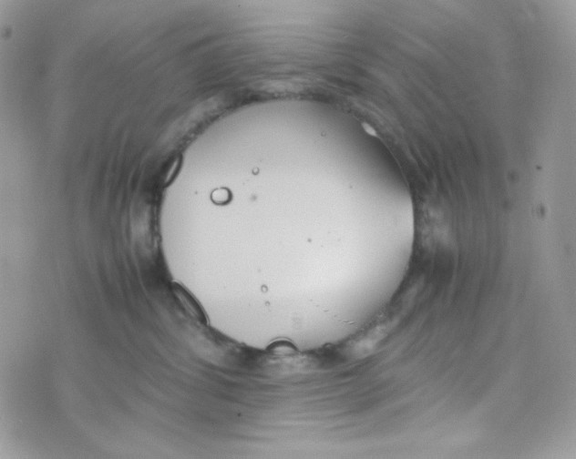 X0000074930428200609291802