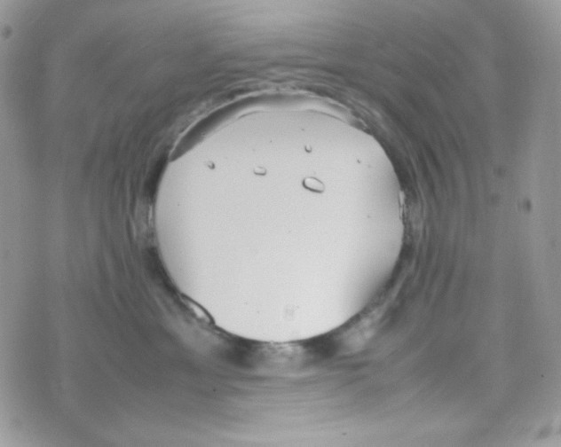 X0000074930429200609291802