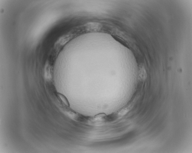 X0000074930431200609291802