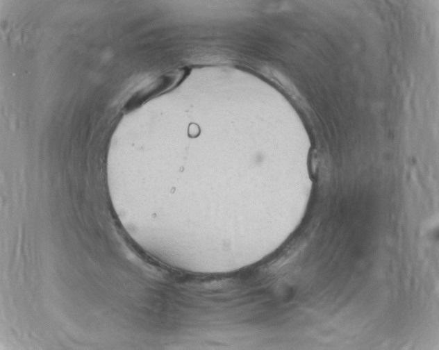 X0000074930433200609291801