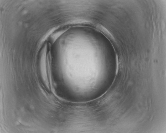 X0000074930436200609291801