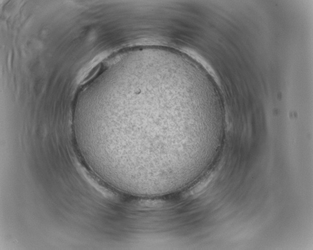 X0000074930437200609291801