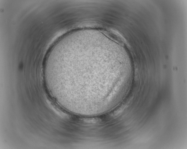 X0000074930439200609291801