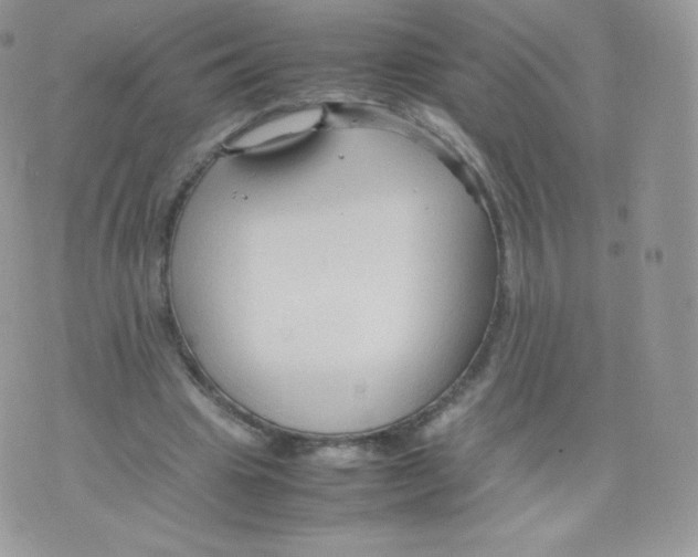 X0000074930441200609291801