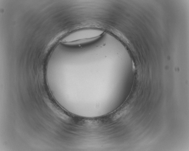 X0000074930442200609291801