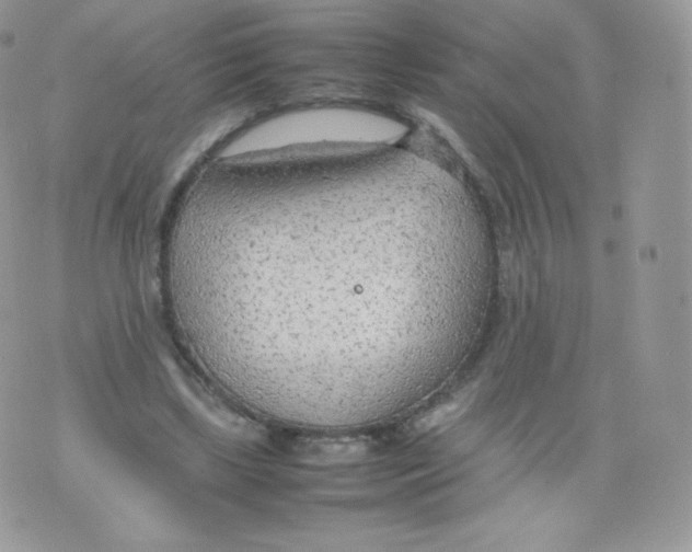 X0000074930443200609291801