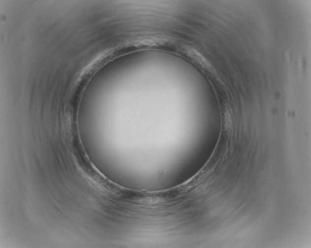 X0000074930444200609291801