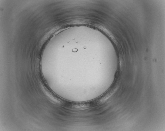 X0000074930445200609291801