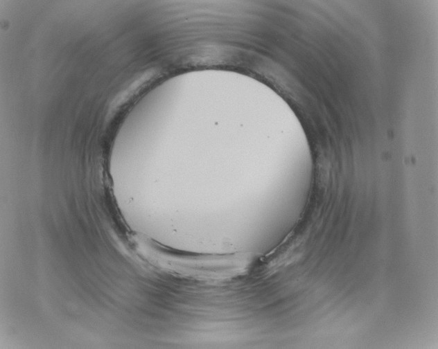 X0000074930446200609291801