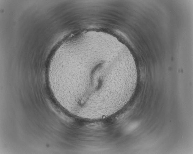 X0000074930447200609291801