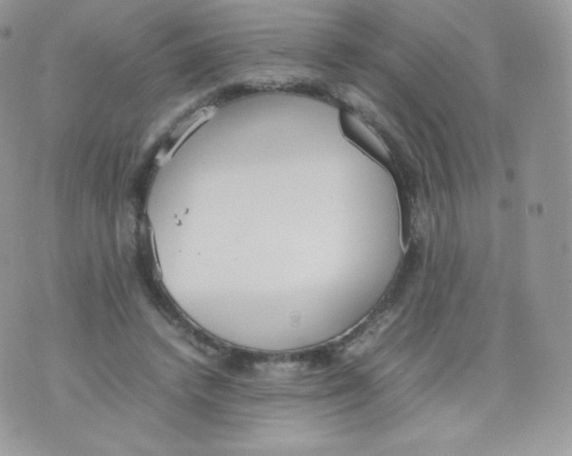 X0000074930448200609291801