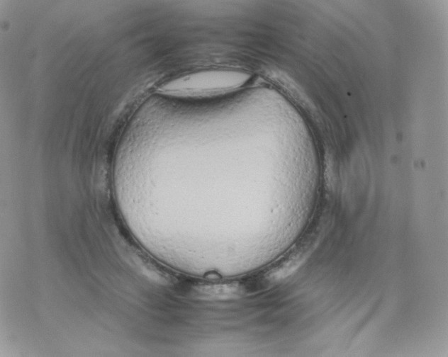 X0000074930449200609291801