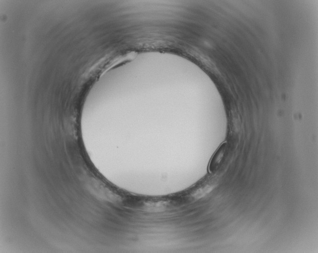 X0000074930450200609291801