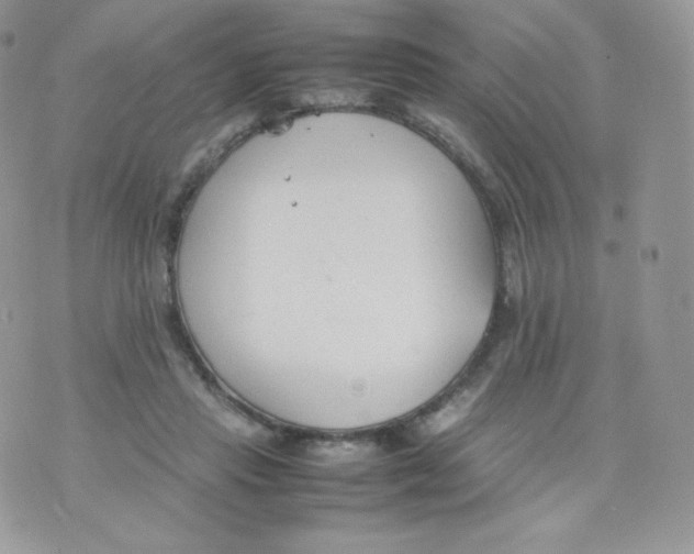 X0000074930453200609291801