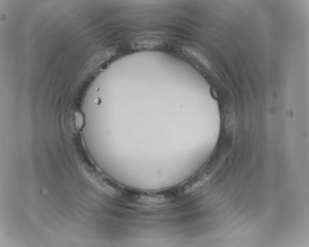 X0000074930455200609291801