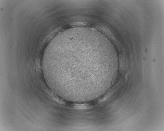 X0000074930457200609291801