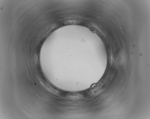 X0000074930459200609291801