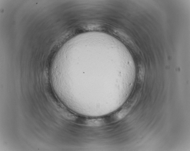 X0000074930461200609291801