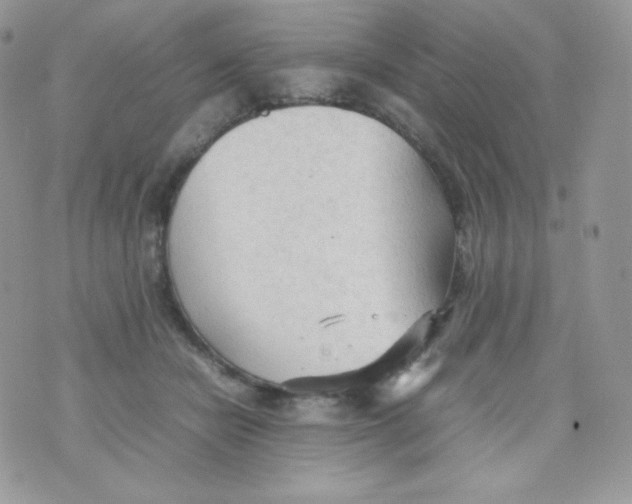 X0000074930462200609291801