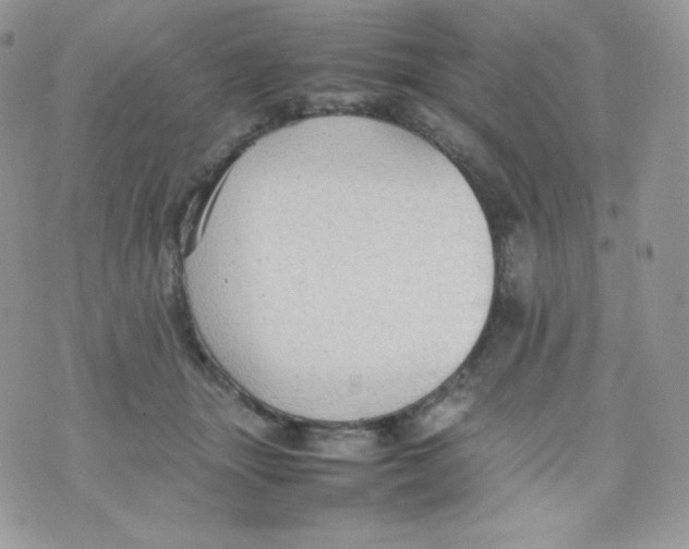 X0000074930463200609291801