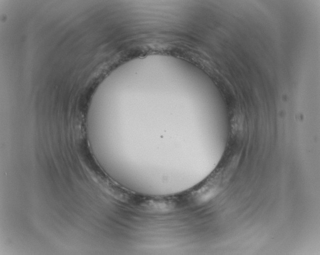 X0000074930464200609291801