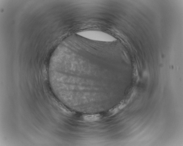 X0000074930465200609291801