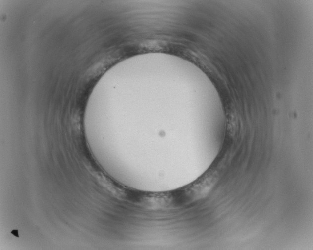 X0000074930466200609291801