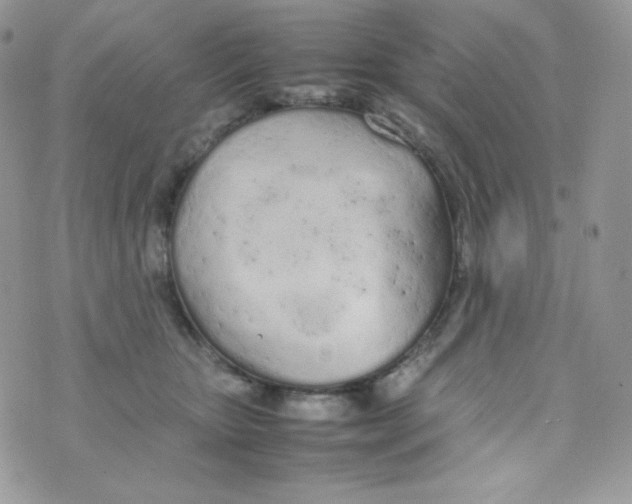 X0000074930467200609291801