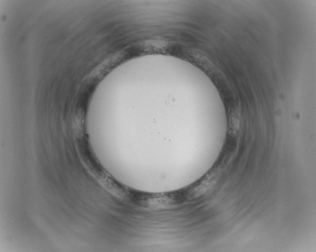 X0000074930468200609291801