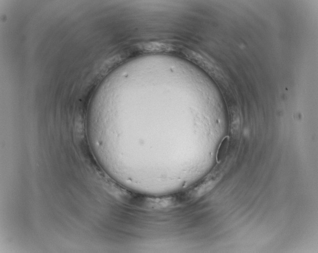 X0000074930469200609291801