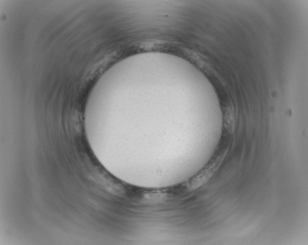 X0000074930470200609291802