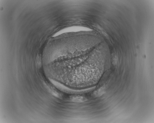 X0000074930471200609291802