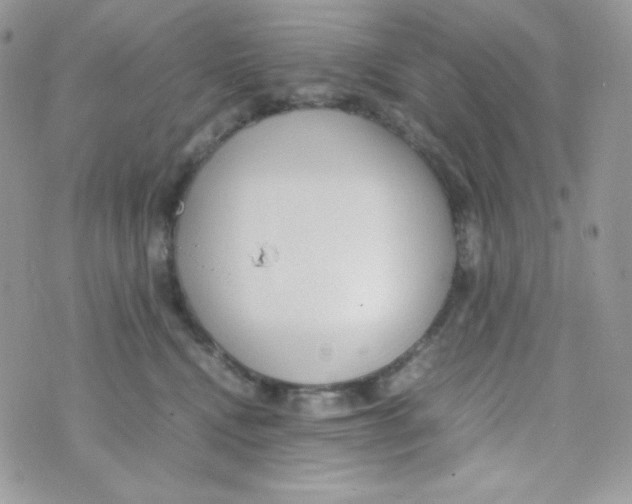 X0000074930472200609291802